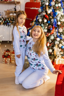 Комплект новогодних свитшотов в стиле family look для всей семьи "Снегири" М-2200